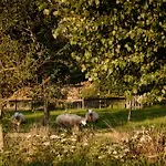 Сasa de vacaciones Natuurhuisje Heeren *