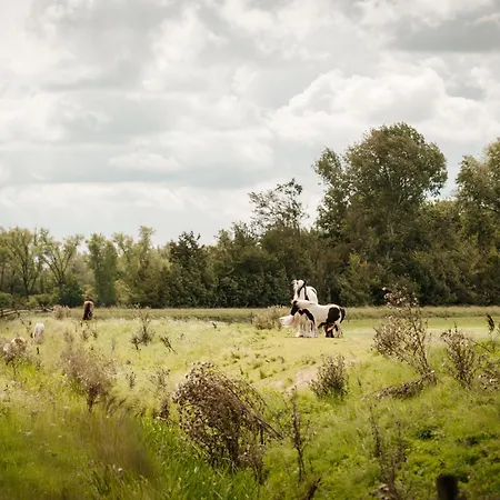 Natuurhuisje Heeren Holiday home Acquoy