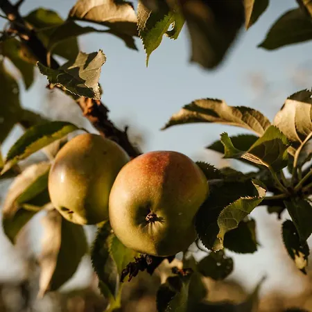Natuurhuisje Heeren * Acquoy