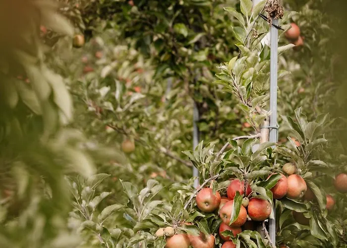 펜션 Natuurhuisje Heeren