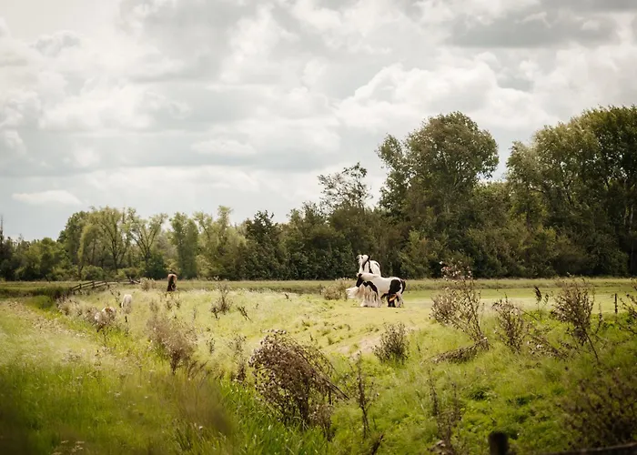 Natuurhuisje Heeren بيت للعطل Acquoy