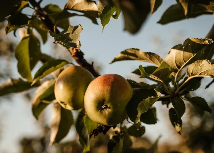 Natuurhuisje Heeren * Acquoy