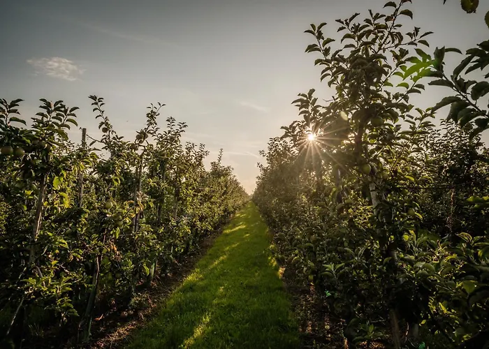 Natuurhuisje Heeren بيت للعطل