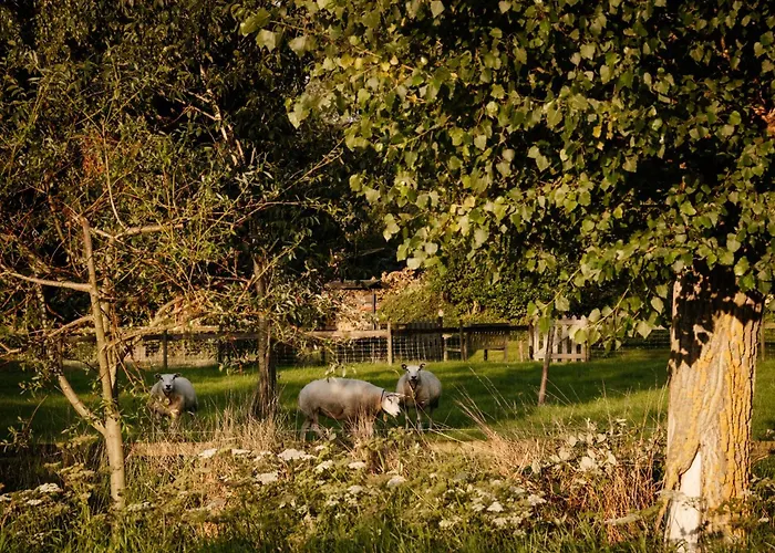 بيت للعطل Natuurhuisje Heeren *